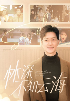 《林深不知云海》（84集）精彩短剧一集不落追看