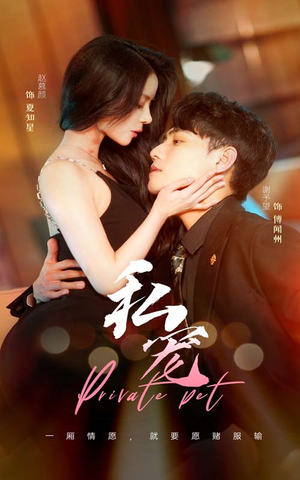 《私宠》（94集）热门短剧全集免费观看