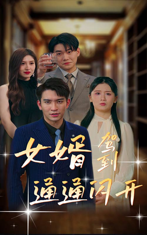 《女婿驾到，通通闪开》（34集）看短剧全集就选这部