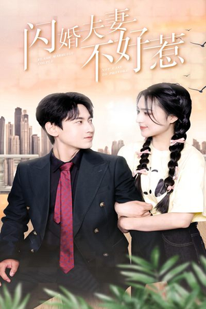 《闪婚夫妻不好惹》（90集）免费短剧在线追全