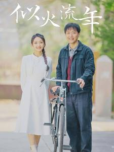 似火流年(100集) 似火流年(100集)全集完整版