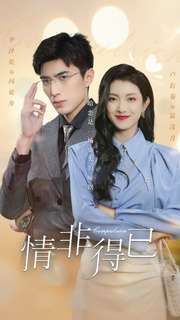 《情非得已》（60集）在线短剧免费全集看不停
