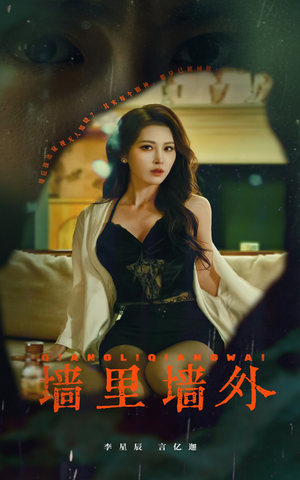 《墙里墙外》（55集）免费在线短剧全集追看