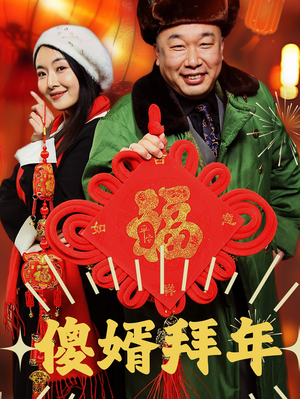 《傻婿拜年》（32集）看短剧全集免费不停歇