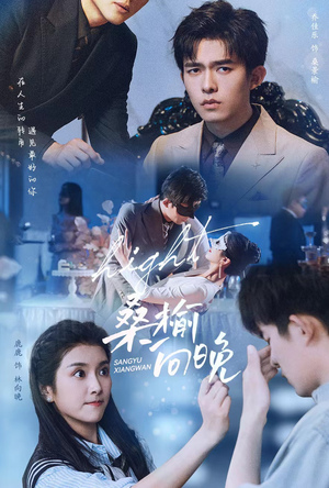 《桑榆向晚》（65集）免费在线看短剧全集追