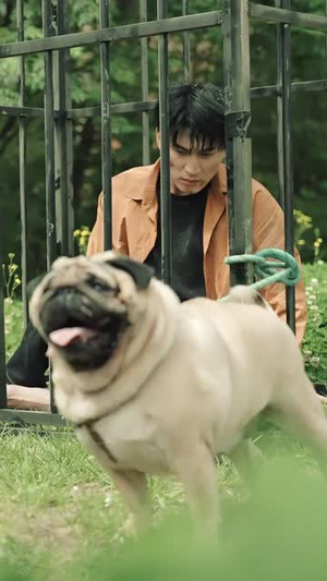 《天榜》（76集）精彩短剧在线追不停歇