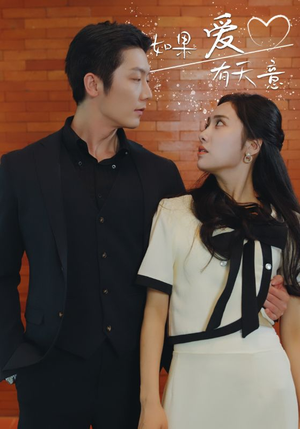 《如果爱有天意》（80集）在线追短剧一集不落