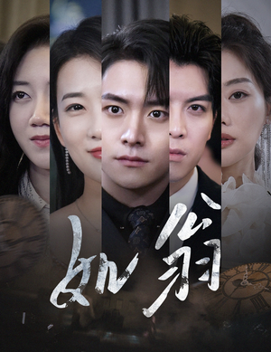 《如翁》（32集）短剧精彩剧情在线追