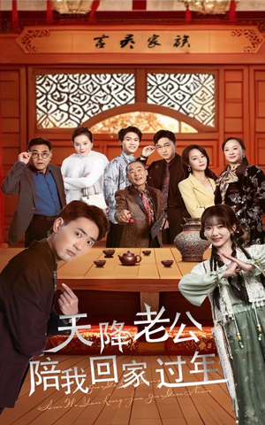 《天降老公陪我回家过年》（60集）畅看短剧全集免费不停