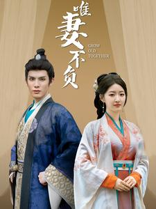 《唯妻不负》（80集）畅享短剧全集在线看