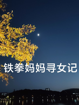 《铁拳妈妈寻女记》（69集）短剧全集免费在线赏