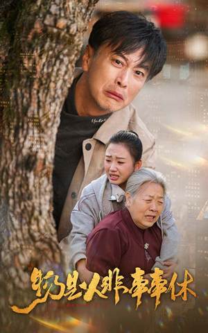 《物是人非事事休》（41集）短剧全集免费在线追