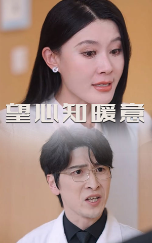 《望心知暖意》（31集）一口气看短剧完整版