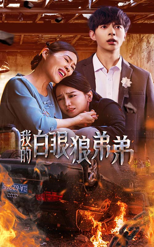 《我的白眼狼弟弟》（69集）短剧全集免费一键看全