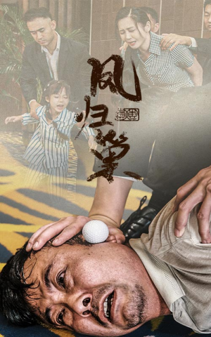 《新版：凤归巢》（68集）短剧新篇畅享完整观看