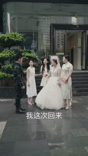 《新版：枭龙》（71集）精彩短剧在线一追到底