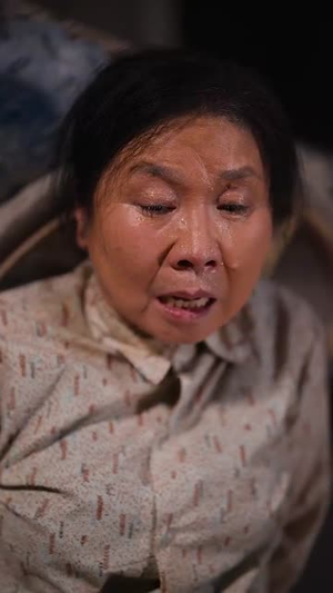 《晚风吹北城》（66集）在线畅享短剧全集追