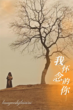 《我怀念的你》（38集）精彩短剧全集在线赏