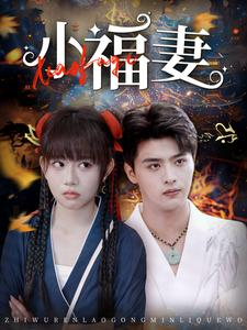 《小福妻》（62集）畅享短剧全集免费观影