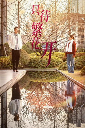 《只待繁花开》（35集）短剧精彩剧情一口气追看