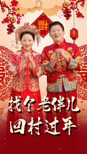 《找个老伴儿回村过年》（58集）免费短剧畅快追全集