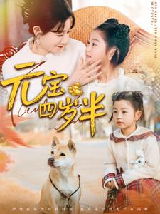 《元宝四岁半》（65集）精彩短剧畅快看不停歇