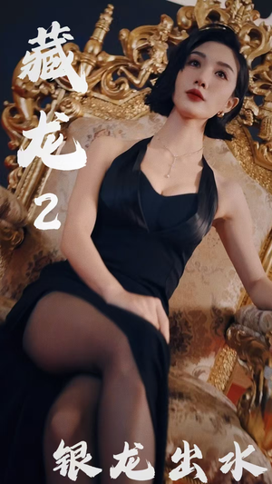 《藏龙2银龙出水》（35集）短剧免费全集看个够