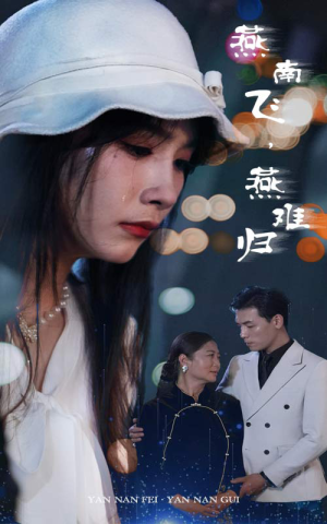 《燕南飞，燕难归》（31集）短剧免费全集在线追览