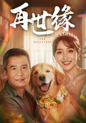 《再世缘》（41集）免费看短剧精彩不停歇