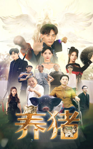 《养猪》（74集）短剧全集畅享精彩不断