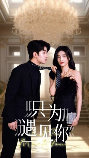 《只为遇见你》（88集）看短剧全集免费不卡顿
