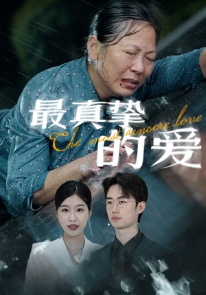 《最真挚的爱》（76集）在线短剧免费全集追看