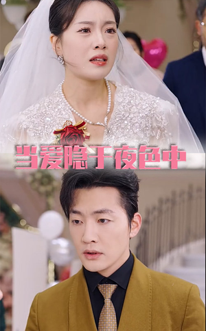 《当爱隐于夜色中》（37集）短剧全集免费在线看