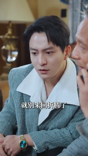 《过火》（84集）免费短剧在线全集赏