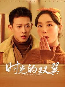 《时光的双翼》（94集）免费看短剧全集无阻