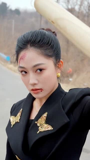 《总有人间一两风》（61集）免费在线短剧全集追