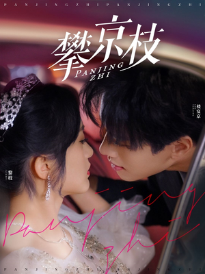 《攀京枝》（80集）畅享短剧免费追完整版