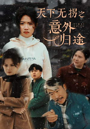 天下无拐之意外归途(61集) 天下无拐之意外归途(61集) 甜宠短剧推荐