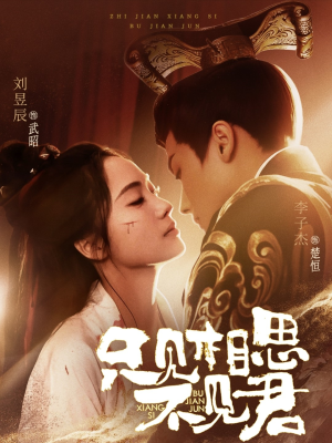 《只见相思不见君》（82集）看短剧全集完全停不下