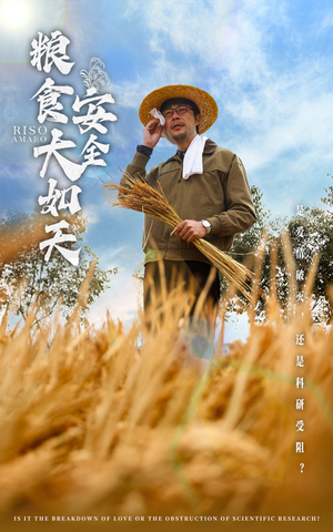 《粮食安全大如天》（43集）精彩短剧全集在线看