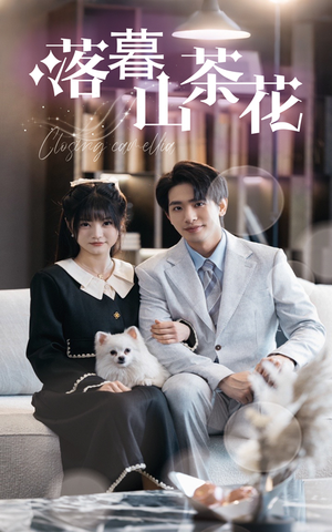 《落幕山茶花》（50集）短剧全集畅快看不停