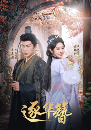 《逐华簪》（80集）在线看短剧全集不卡顿