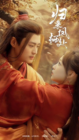 《归来凤栖处》（60集）免费短剧全集畅快看
