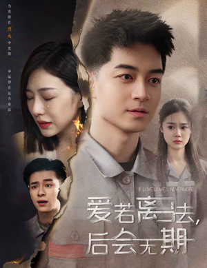 《爱若离去》（70集）在线免费短剧全集追看