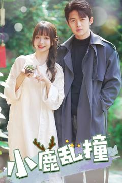 《小鹿乱撞》（40集）在线短剧免费看超带感