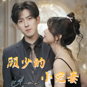 《顾少的小宠妻》（90集）免费看短剧全集不停歇