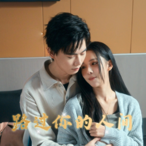 《路过你的人间》（31集）短剧佳作全集畅快看