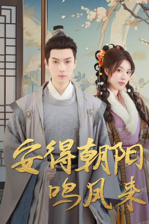 《安得朝阳鸣凤来》（32集）短剧佳作免费全集追