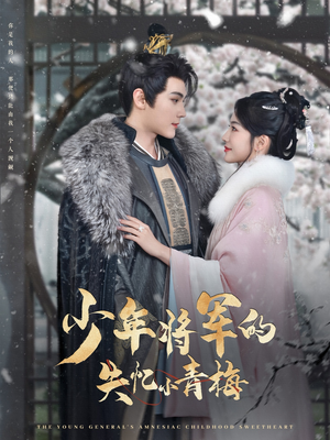 《少年将军的失忆小青梅》（100集）短剧全集免费畅快追