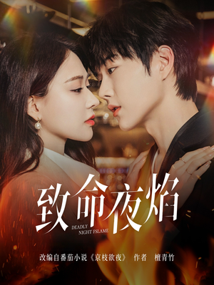 《致命夜焰》（80集）在线短剧全集免费观